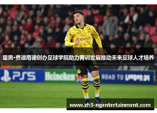 里奥·费迪南德创办足球学院助力青训发展推动未来足球人才培养